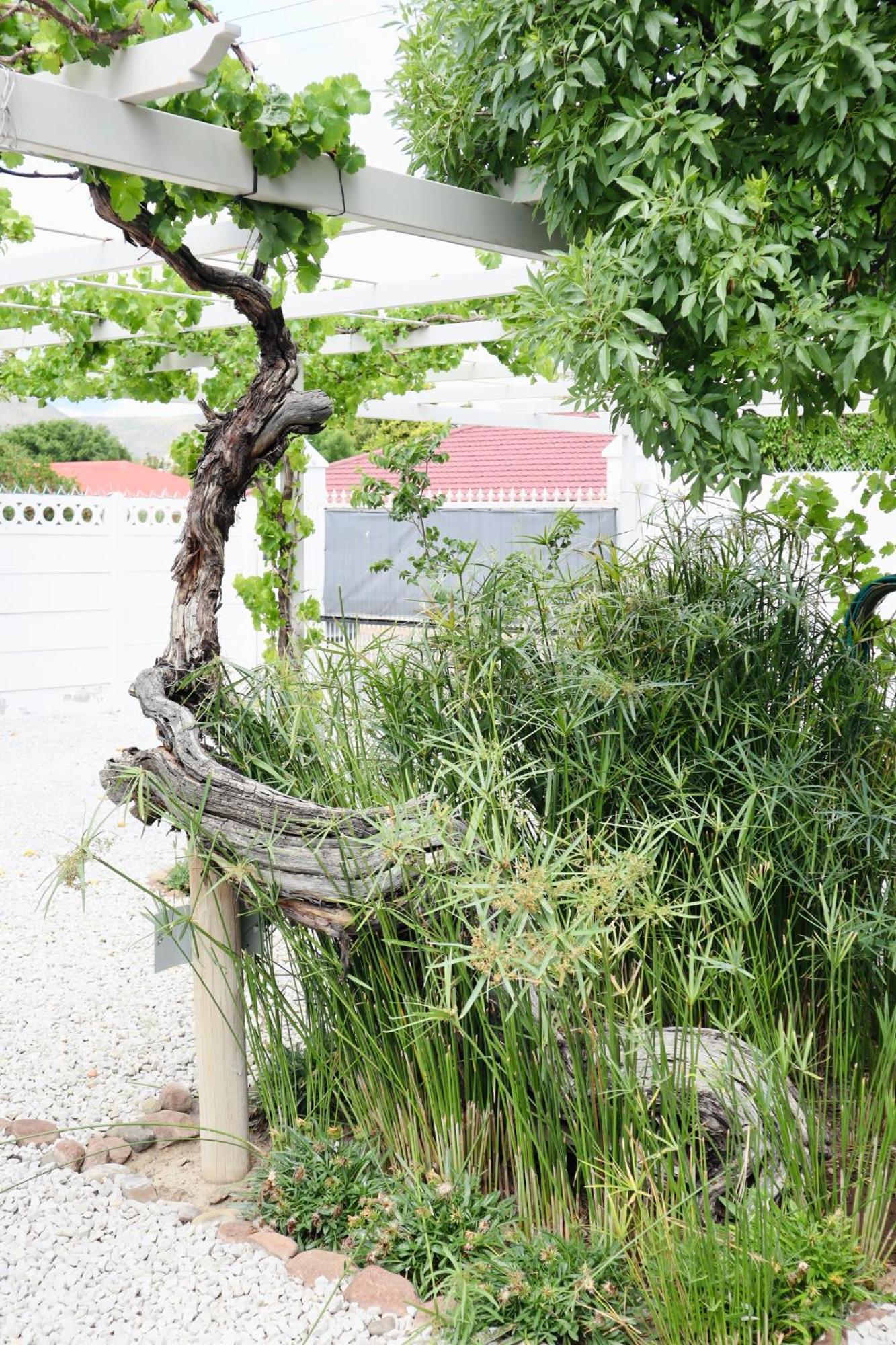 River Bend Guesthouses Graaff-Reinet エクステリア 写真